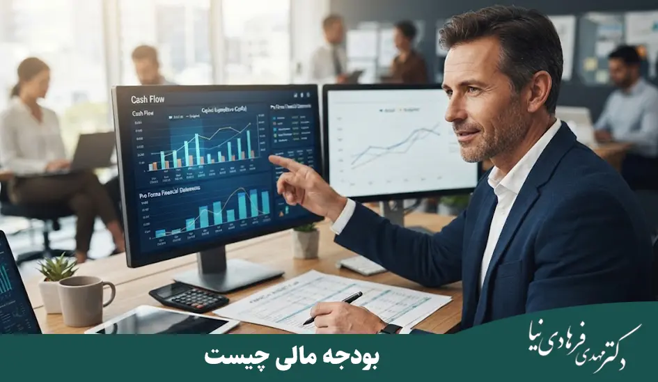 دکتر مهدی فرهادی نیا 38 بودجه مالی چیست
